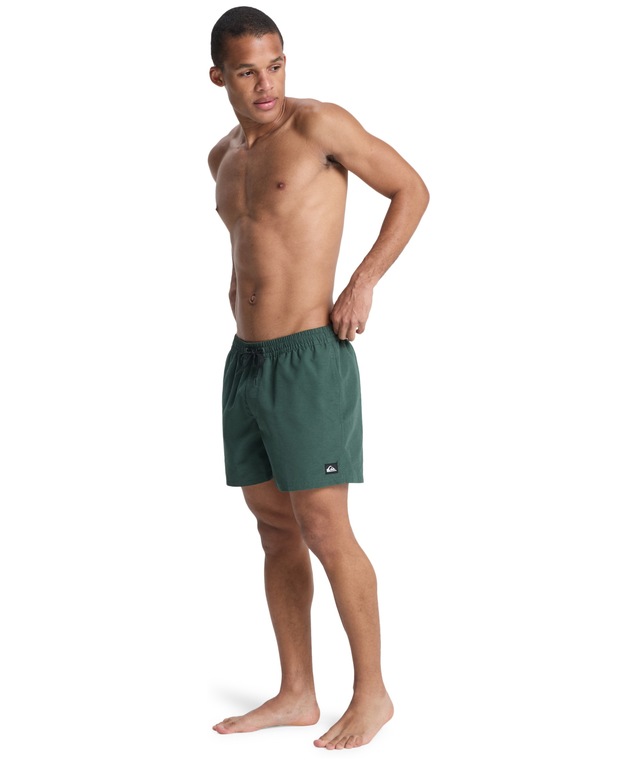 Quiksilver Badeshorts »EVERYDAY VOLLEY 15« unifarbene Optik, mit kontrastfarbenen Details, Straight-Leg-Passform