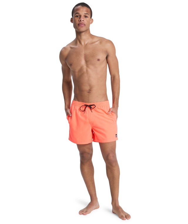Quiksilver Badeshorts »EVERYDAY VOLLEY 15« unifarbene Optik, mit kontrastfarbenen Details, Straight-Leg-Passform