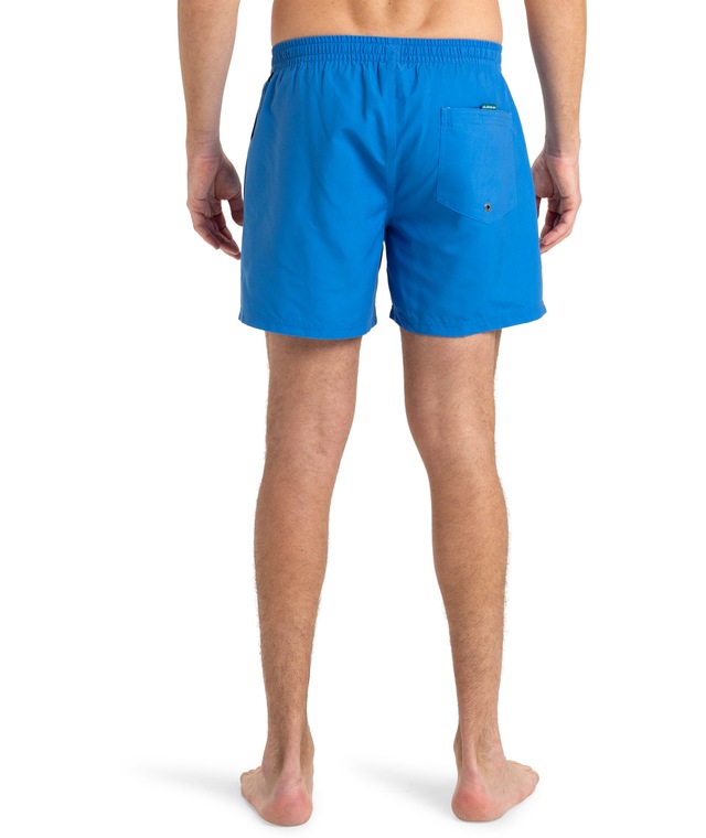 Quiksilver Badeshorts »EVERYDAY VOLLEY 15« unifarbene Optik, mit kontrastfarbenen Details, Straight-Leg-Passform