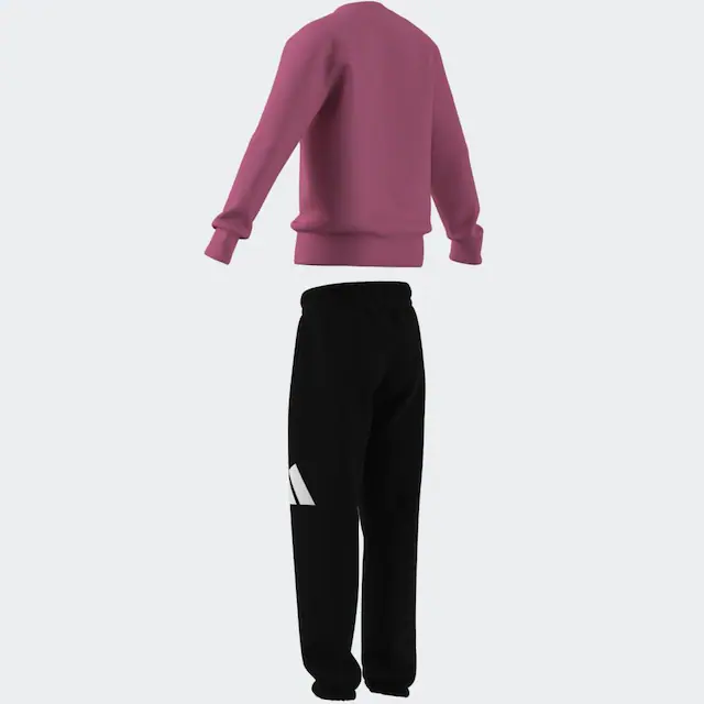 adidas Sportswear Trainingsanzug »ESSENTIALS KIDS« 2 Stk.