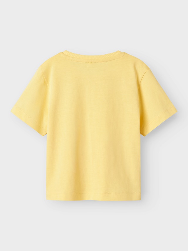 Name It T-Shirt »NMFJASSA SS NREG TOP PB«