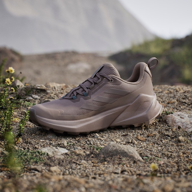 adidas TERREX Wanderschuh »TRAILMAKER 2.0 GORE-TEX« wasserdicht dank Gore-Tex Membrane