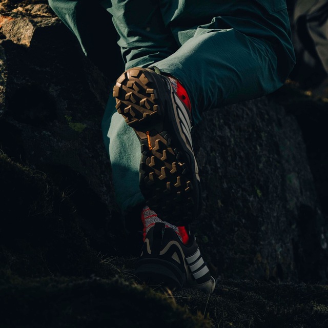 adidas TERREX Wanderschuh »SKYCHASER GORE-TEX« wasserdicht dank Gore-Tex Membrane