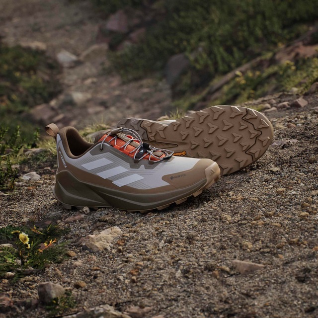 adidas TERREX Wanderschuh »TRAILMAKER 2 GORE-TEX SPEED LACE«