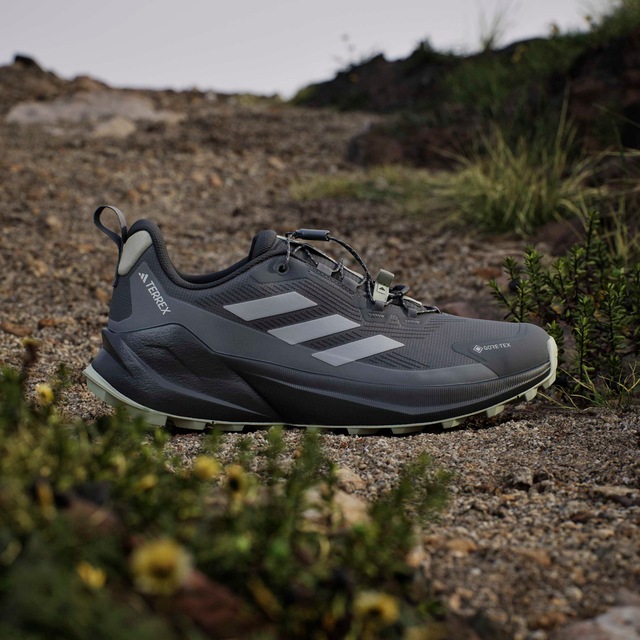 adidas TERREX Wanderschuh »TRAILMAKER 2 GORE-TEX SPEED LACE«