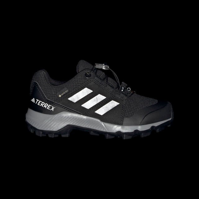 adidas TERREX Wanderschuh »GORE-TEX« wasserdicht dank Gore-Tex Membrane