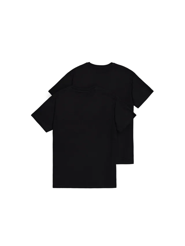 Alpha Industries Rundhalsshirt »Basic T 2 Pack« Set, 2 Stk.