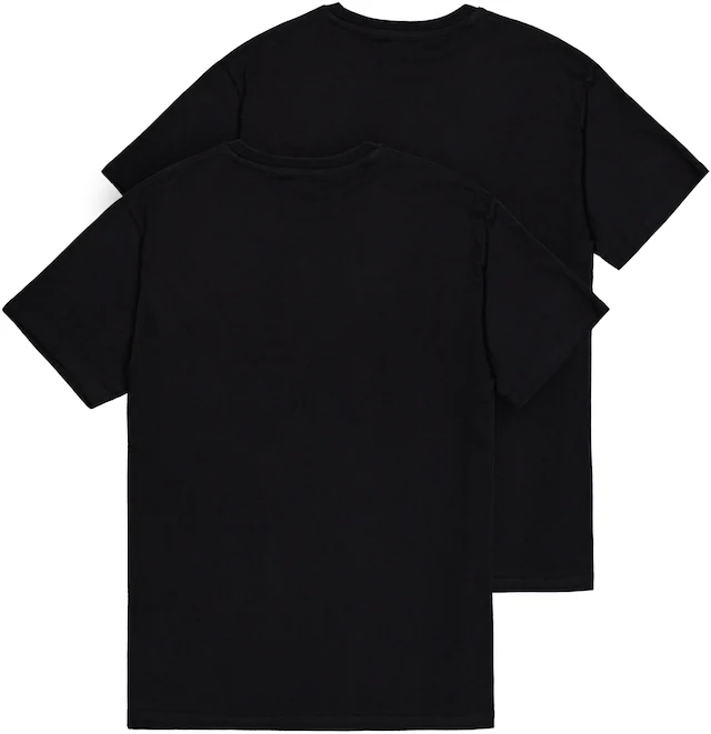Alpha Industries Rundhalsshirt »Basic T Small Logo 2 Pack« Set, 2 Stk.