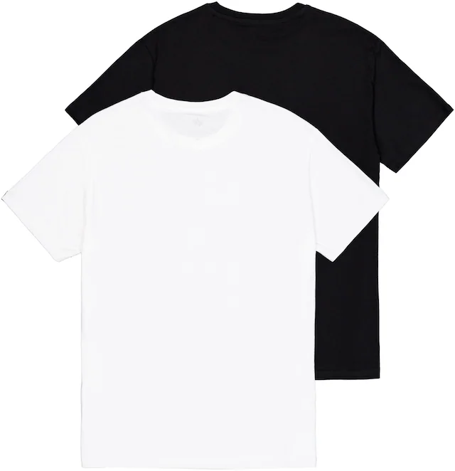 Alpha Industries Rundhalsshirt »Basic T Small Logo 2 Pack« Set, 2 Stk.