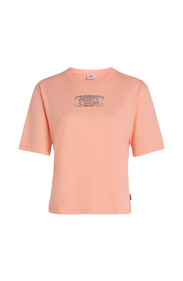 O'Neill T-Shirt »SUMMER MUSTHAVES BACK PRINT T-SHIRT« mit wasserbasierten Prints auf Brust und Rücken, lockere Passform