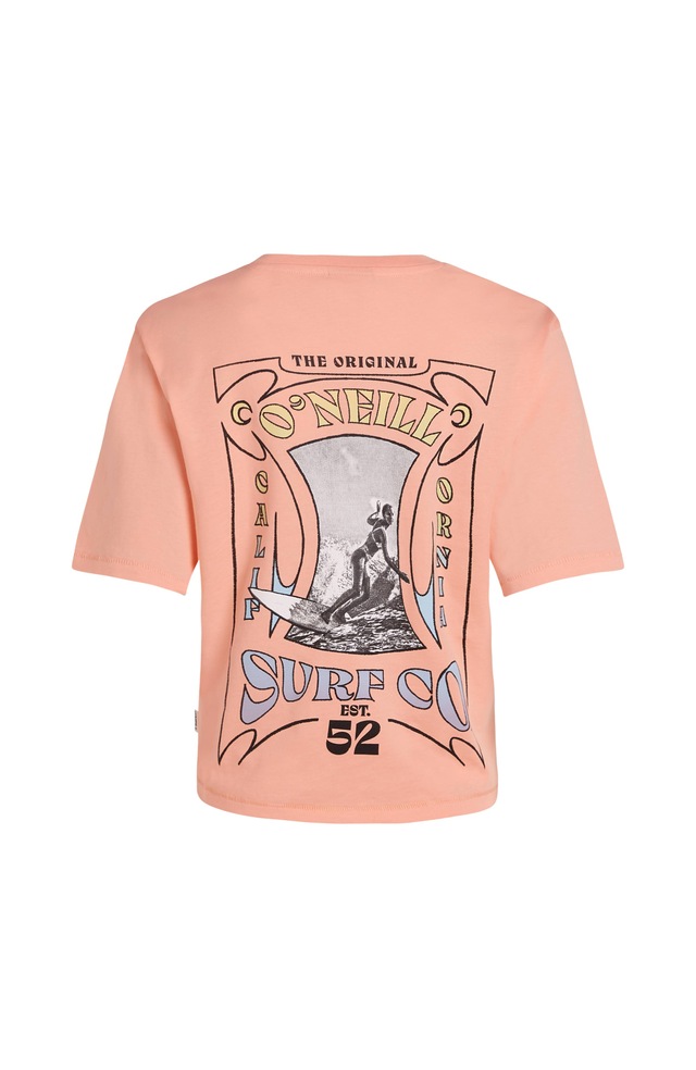 O'Neill T-Shirt »SUMMER MUSTHAVES BACK PRINT T-SHIRT« mit wasserbasierten Prints auf Brust und Rücken, lockere Passform