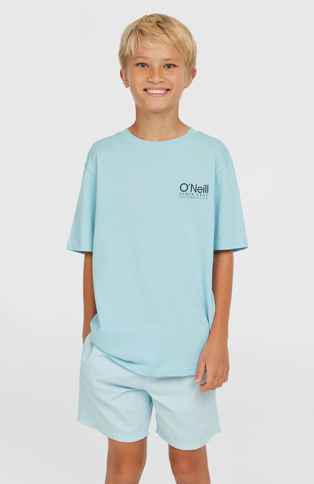 O'Neill Badeshorts »O'NEILL VERT 14 SWIMSHORTS« mit Seiten- und Gesäßtaschen, schnell trocknend