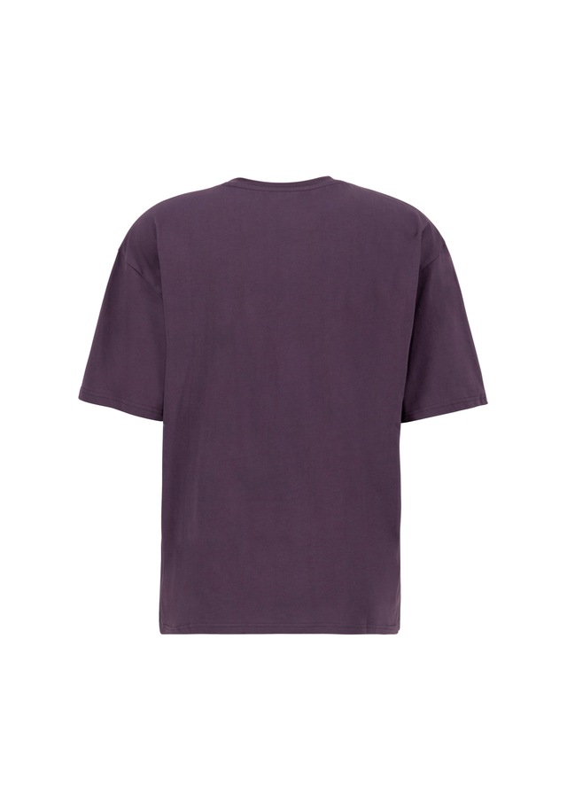 Alpha Industries T-Shirt »3D Small Logo T-Shirt«