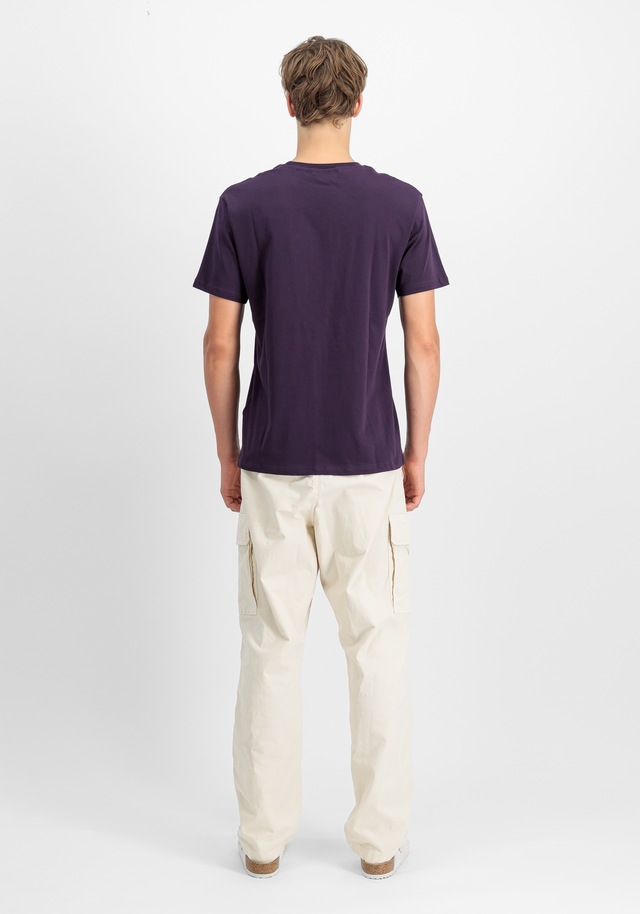 Alpha Industries T-Shirt »3D Small Logo T-Shirt«