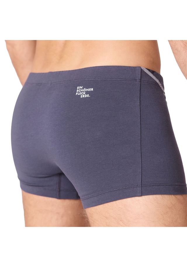 EIN SCHÖNER FLECK ERDE Boxershorts »Boxershort 1er Pack«