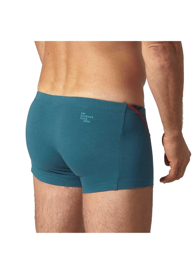 EIN SCHÖNER FLECK ERDE Boxershorts »Boxershort 1er Pack«
