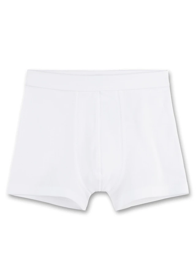 Sanetta Boxershorts »Boxershort 1er Pack«