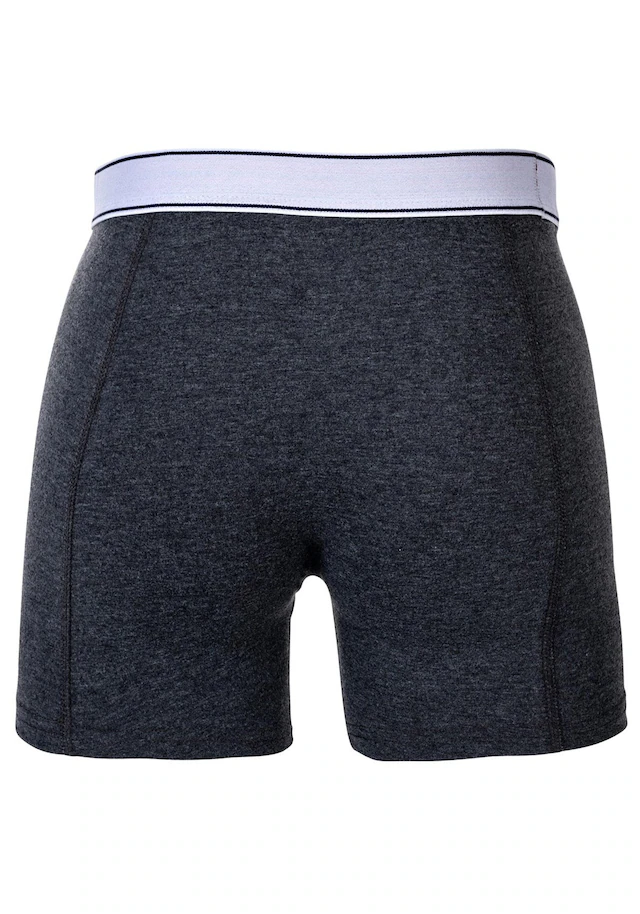 Champion Boxershorts »Boxershort 2er Pack«