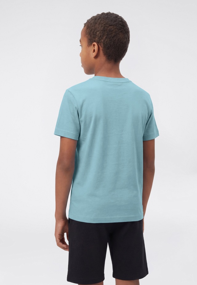 Champion T-Shirt »ICONS TONAL Crewneck T-Shirt with Large Logo« mit großem Logo, Kurzarm, aus Baumwolle