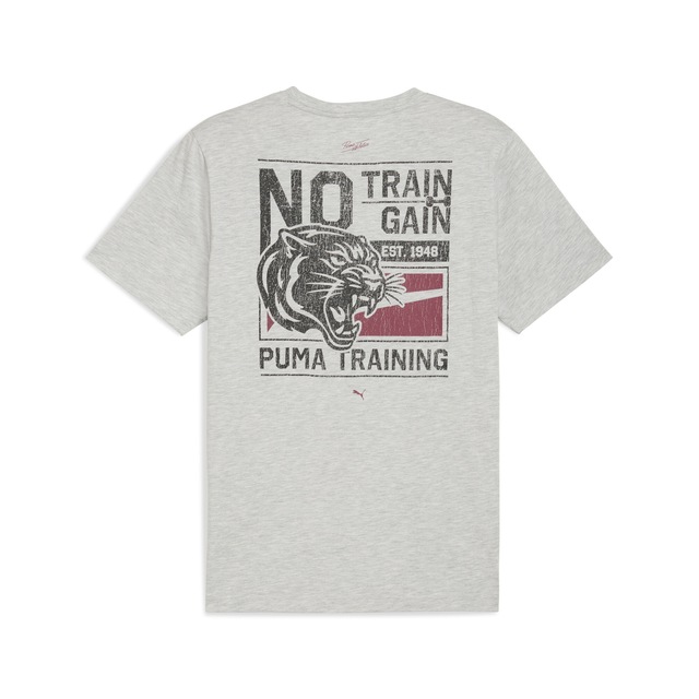 PUMA Trainingsshirt »M GRAPHIC ILLUSTRATED TEE« Regular Fit, mit schweißableitender dryCELL Technologie