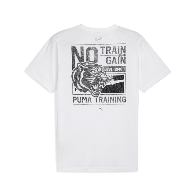 PUMA Trainingsshirt »M GRAPHIC ILLUSTRATED TEE« Regular Fit, mit schweißableitender dryCELL Technologie
