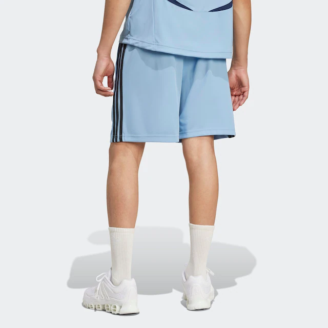 adidas Originals Shorts »TEAMGEIST ADICOLOR« aus weichem Doppelstrick, Obermaterial aus Polyester