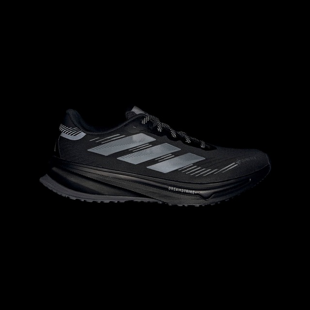 adidas Performance Laufschuh »SUPERNOVA RISE GTX« wasserdicht