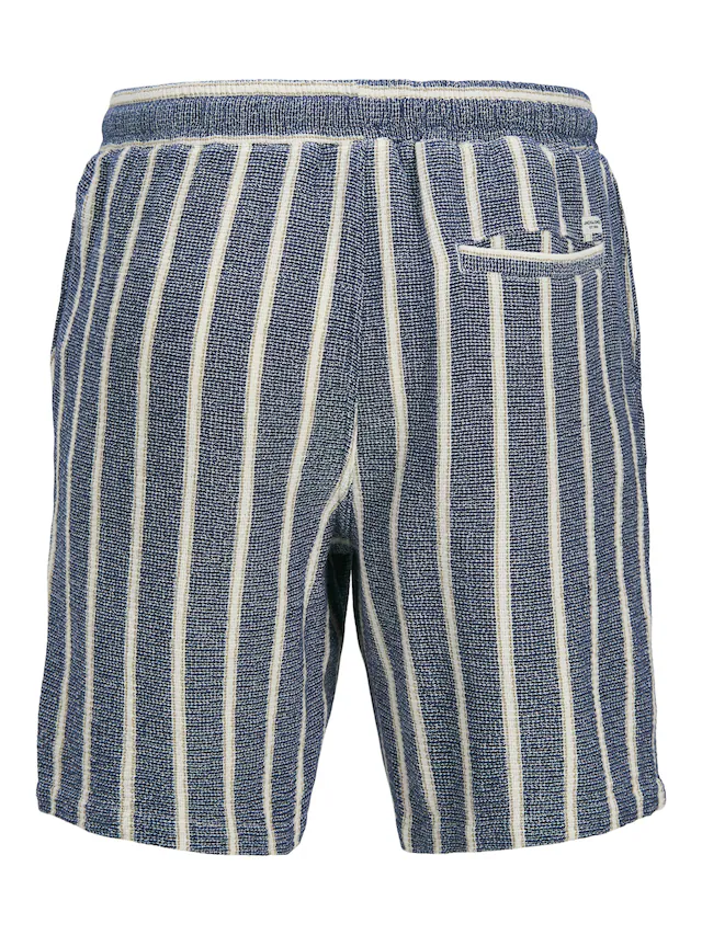 Jack & Jones PlusSize Sweatshorts »JPSTJAIDEN COBA STRIPE JOG SHORT SN PLS«
