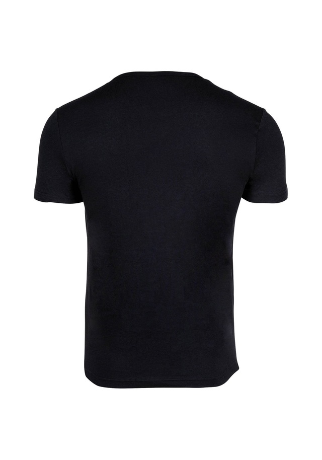 Emporio Armani T-Shirt »T-Shirt CORE LOGOBAND 2er Pack«