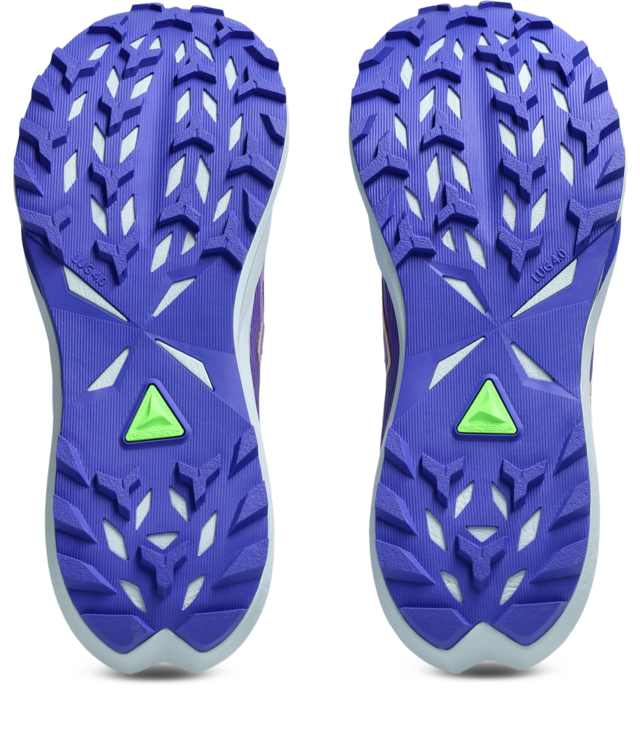 Asics Trailrunningschuh »FUJI LITE 6« Trailrunning-Schuhe für leichte Trails