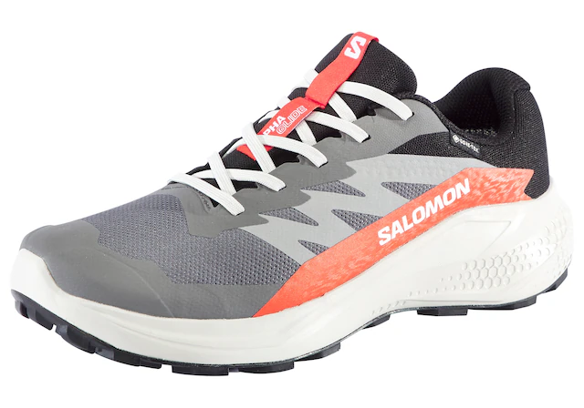 Salomon Laufschuh »ALPHAGLIDE GORE-TEX« wasserdicht
