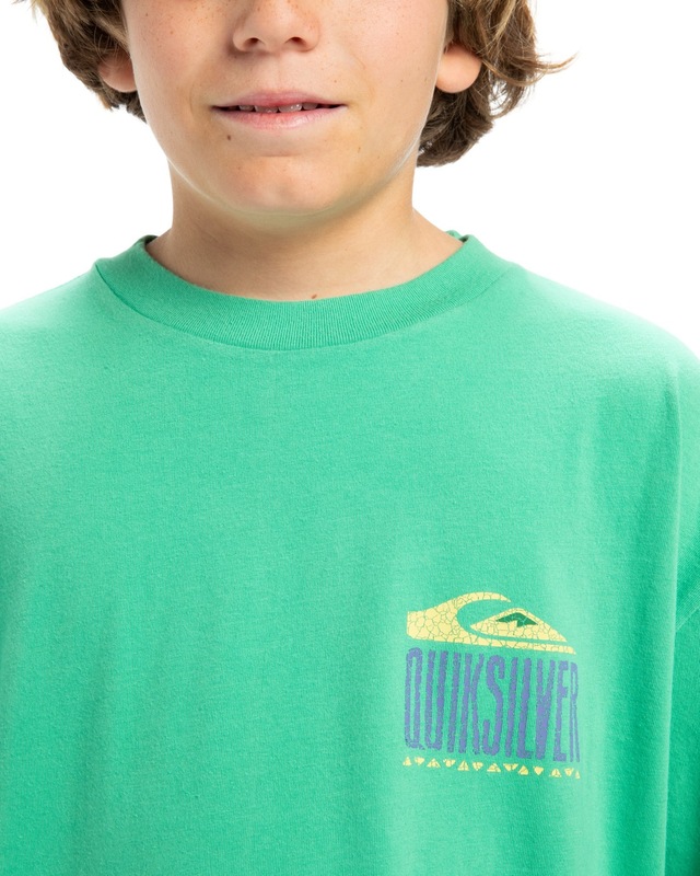 Quiksilver T-Shirt »World Force«