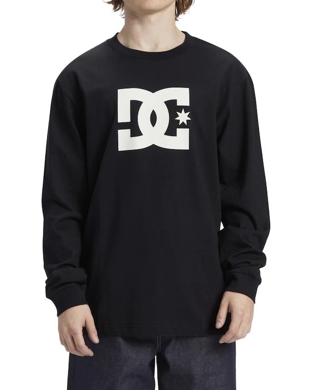 DC Shoes Langarmshirt »DC Star Hls«
