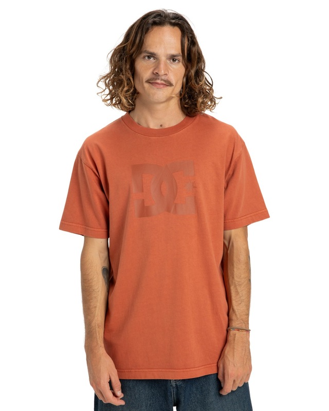 DC Shoes T-Shirt »DC Star Pigment Dye«