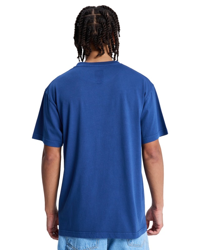 DC Shoes T-Shirt »DC Star Pigment Dye«