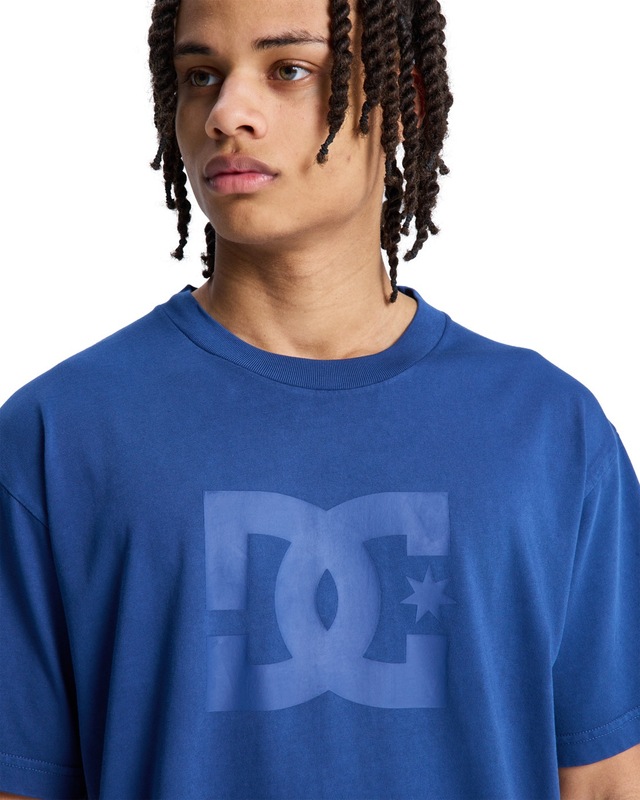 DC Shoes T-Shirt »DC Star Pigment Dye«