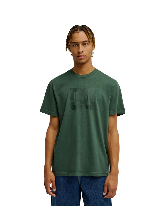 DC Shoes T-Shirt »DC Star Pigment Dye«