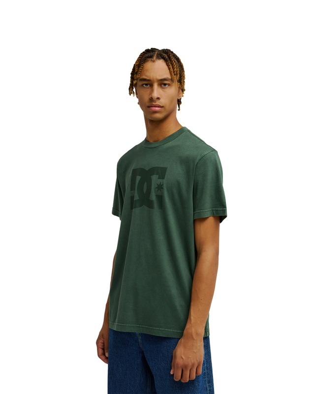 DC Shoes T-Shirt »DC Star Pigment Dye«