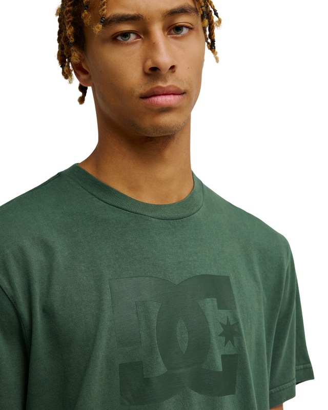 DC Shoes T-Shirt »DC Star Pigment Dye«