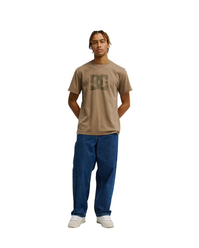 DC Shoes T-Shirt »DC Star Pigment Dye«