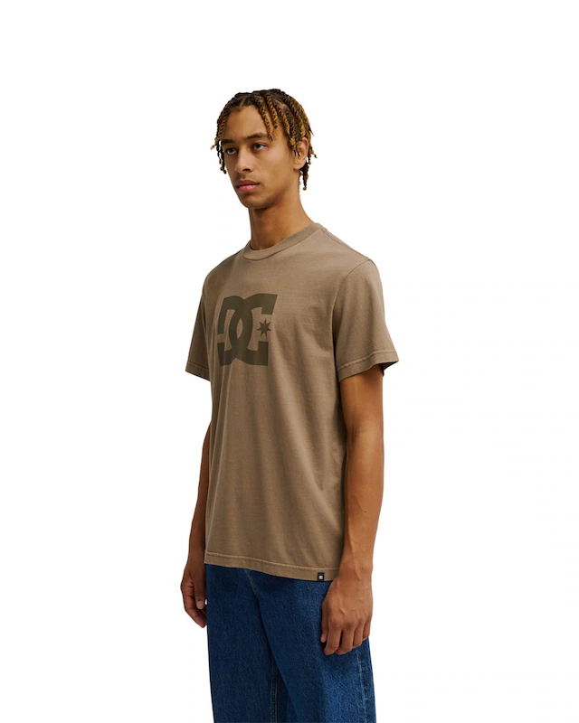 DC Shoes T-Shirt »DC Star Pigment Dye«