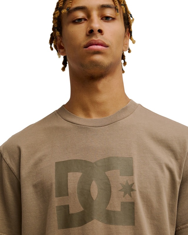 DC Shoes T-Shirt »DC Star Pigment Dye«