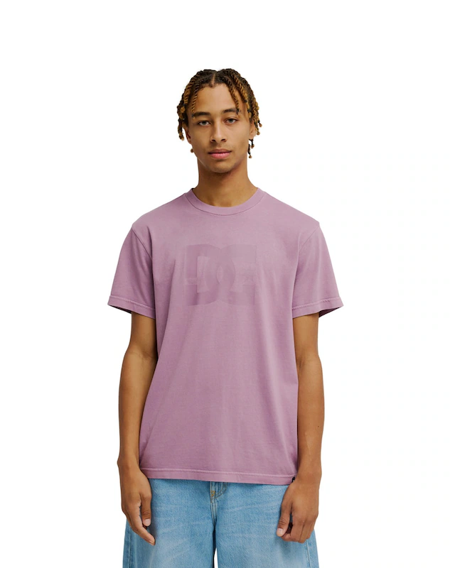 DC Shoes T-Shirt »DC Star Pigment Dye«