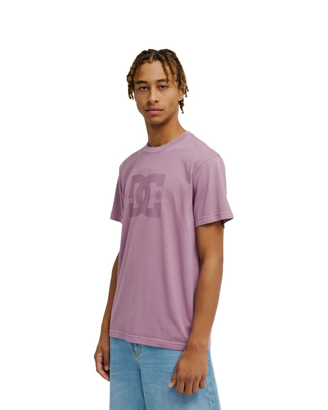 DC Shoes T-Shirt »DC Star Pigment Dye«