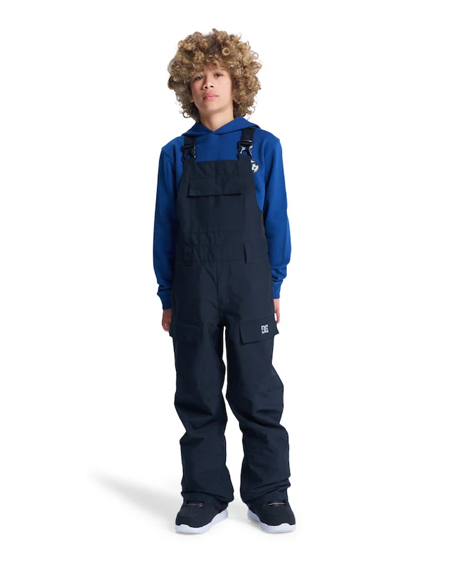 DC Shoes Snowboardhose »Roadblock«