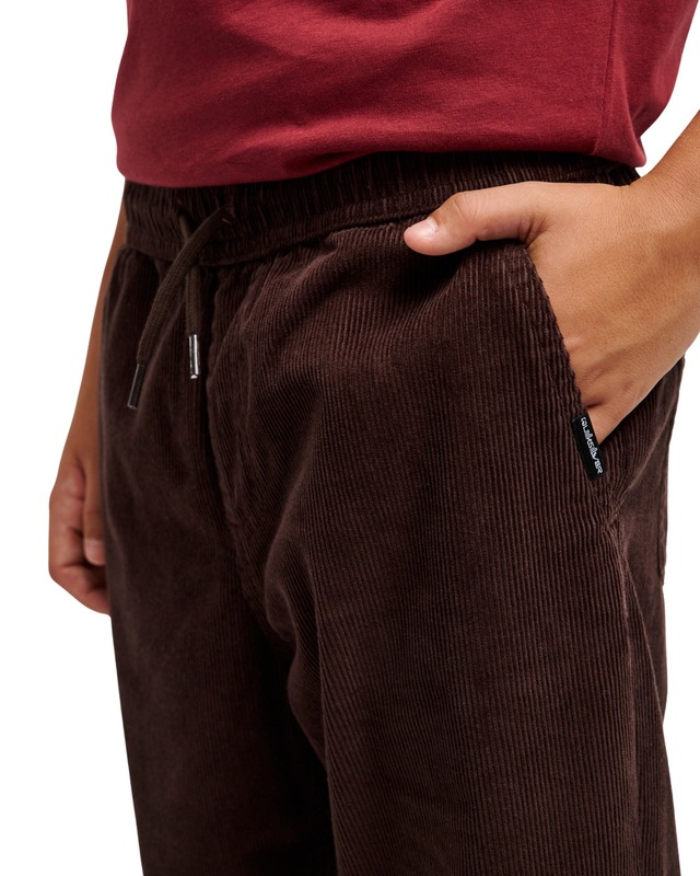 Quiksilver Outdoorhose »Taxer Cord«
