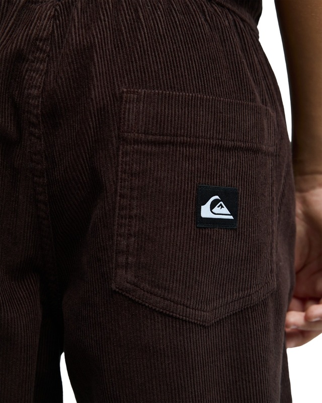 Quiksilver Outdoorhose »Taxer Cord«