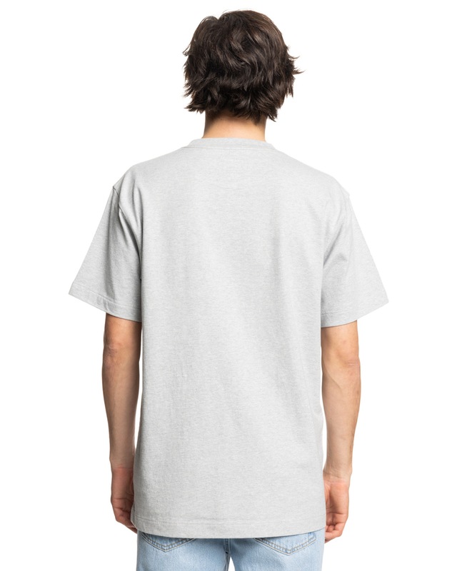 DC Shoes Rundhalsshirt »DC 1994«