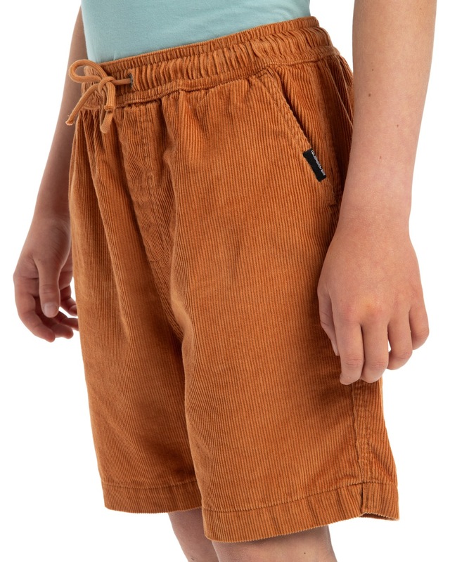Quiksilver Bermudas »Taxer«