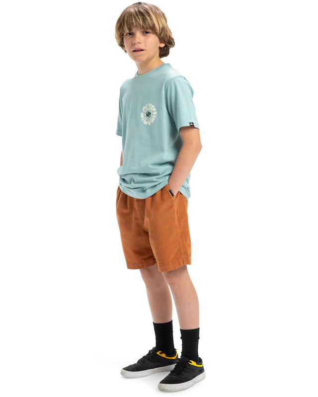 Quiksilver Bermudas »Taxer«